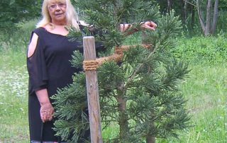 Frau Kutscher mit Mammutbaum