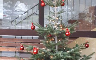 Weihnachtsbaum im Haus Wittelsbach