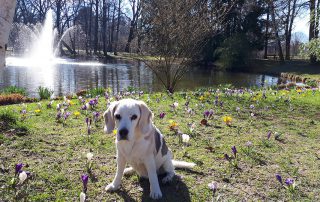 Frühlingsspaziergang