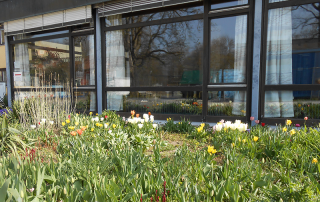 Frühling rund um das Haus Wittelsbach