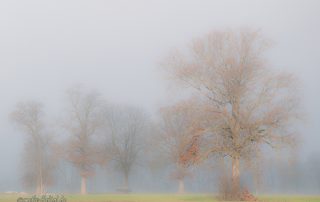 Herbst - motiv-digital